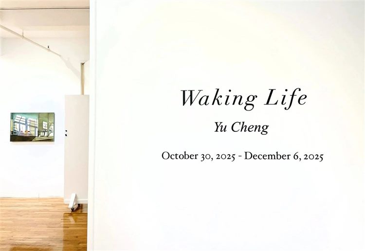 Installation view, Waking Life