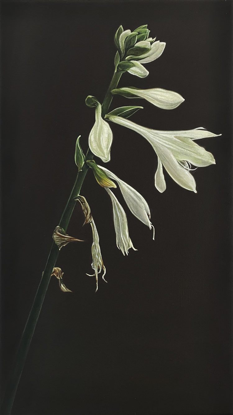 Yuzan, 2026, oil on linen, 9 × 16 in.
